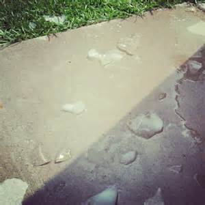 Icemeltedsidewalk